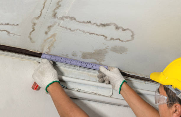 Reliable Water Damage Repair contractor in Romayor, TX by Aqua Guard Water Damage